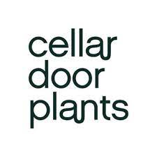Cellar Door Plants : Bulk Purchase Discount Upto 25% OFF