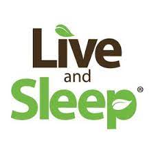 Live and Sleep : 20% Off Live & Sleep Memory Foam Pillow