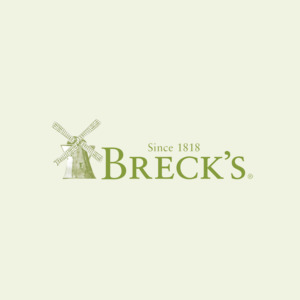Brecks : Up to 60% Off Toad Lily Flowers